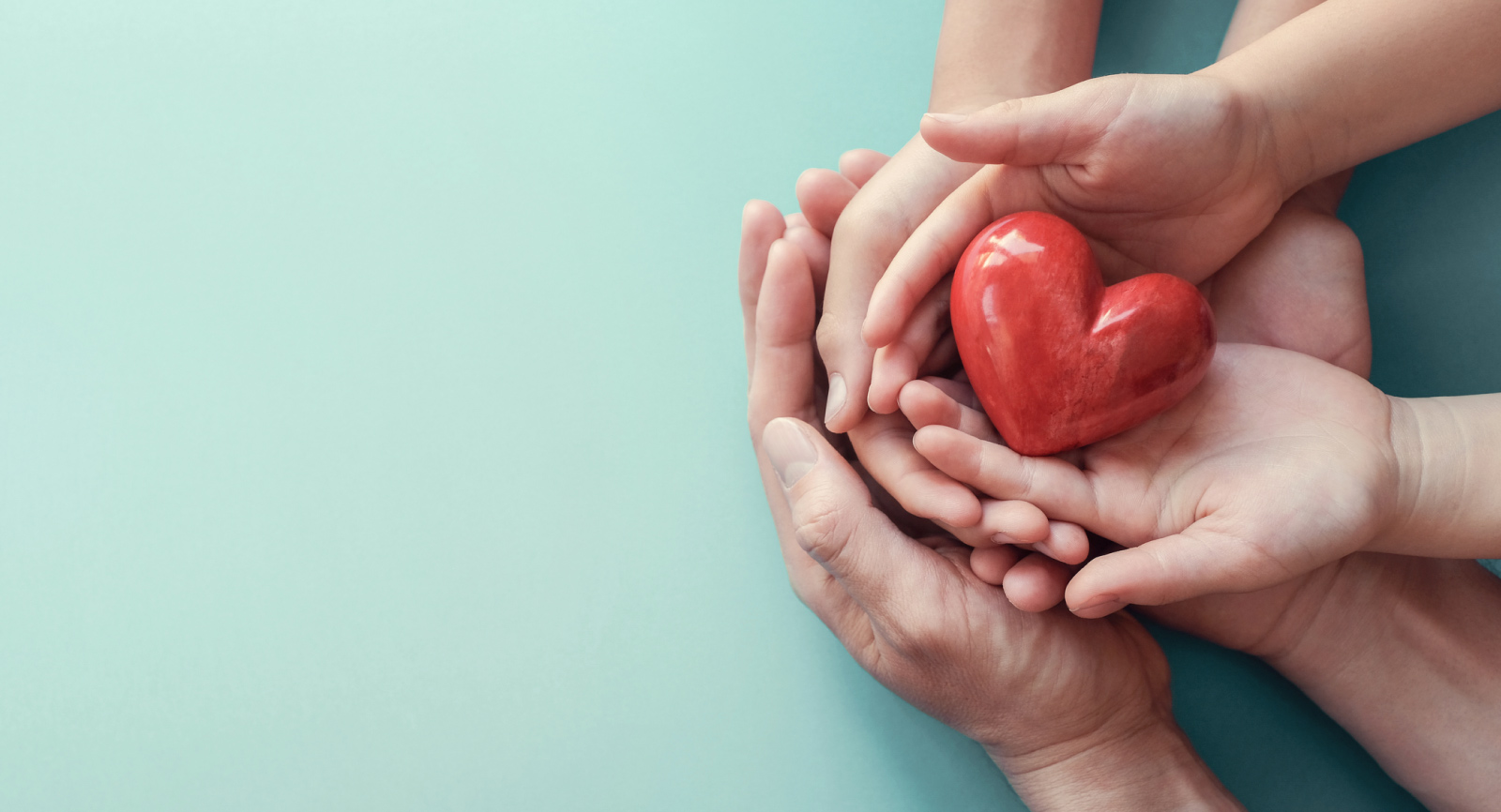 families hands holding a heart